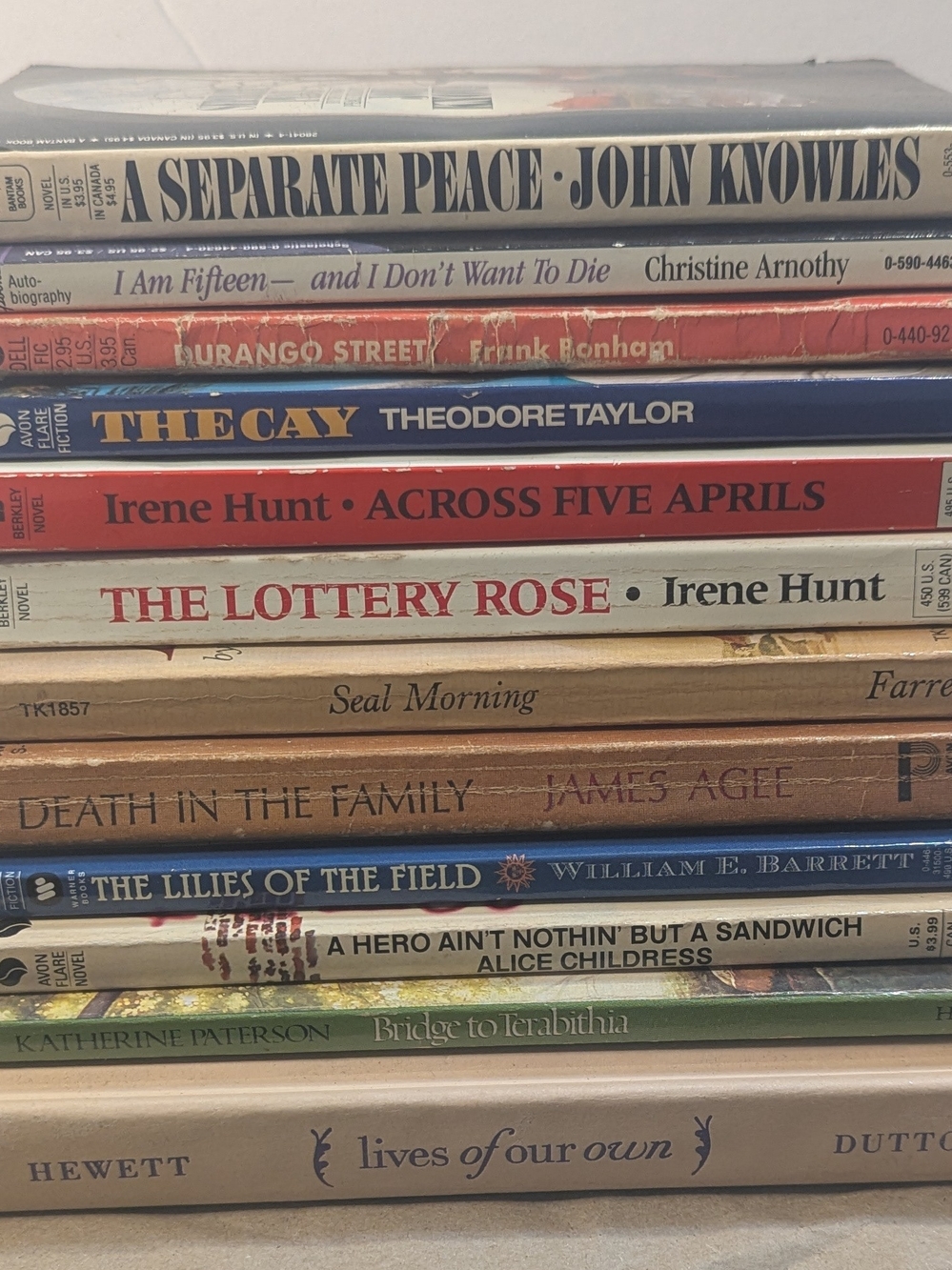 Vintage YA & Classic Literature Lot - 12 Books